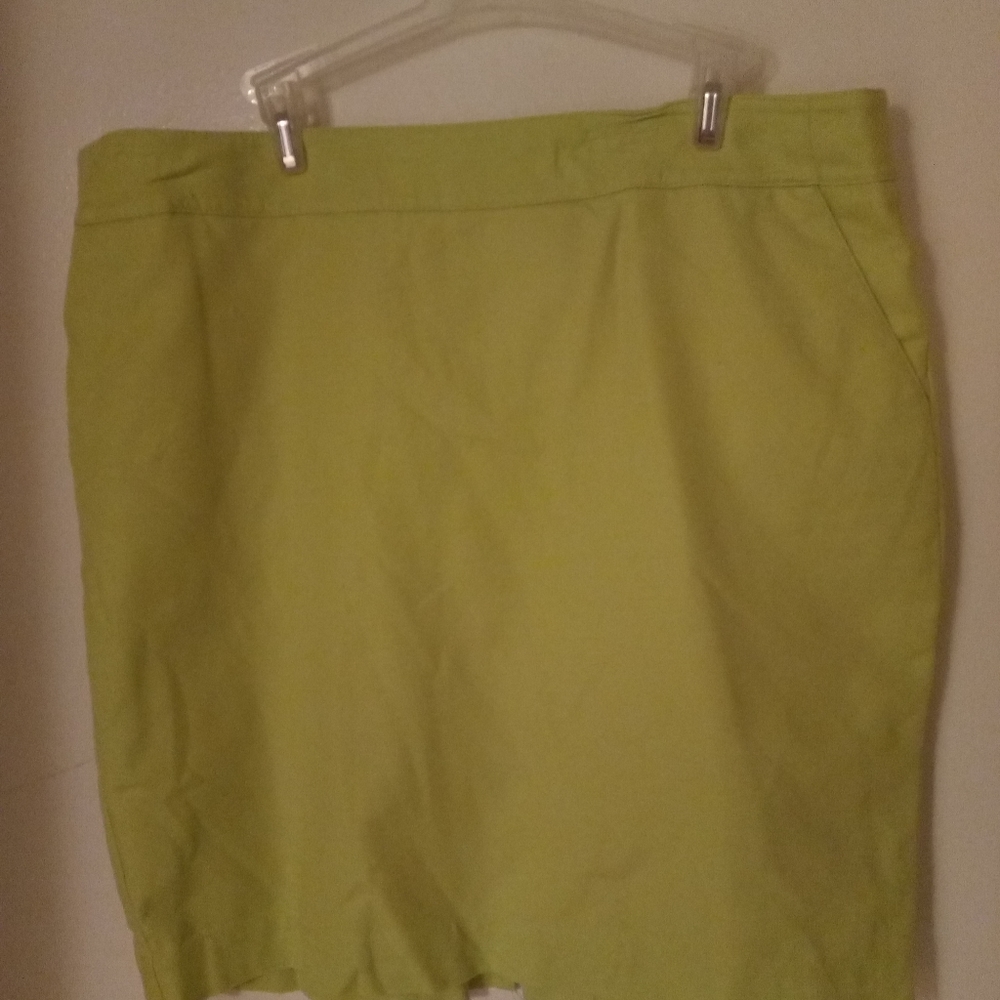 Merona skirt